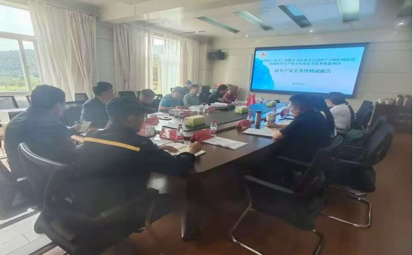 玉溪分公司年產(chǎn)12000噸粘性炸藥生產(chǎn)線少人化安全技術(shù)改造項目順利通過試生產(chǎn)安全條件考核